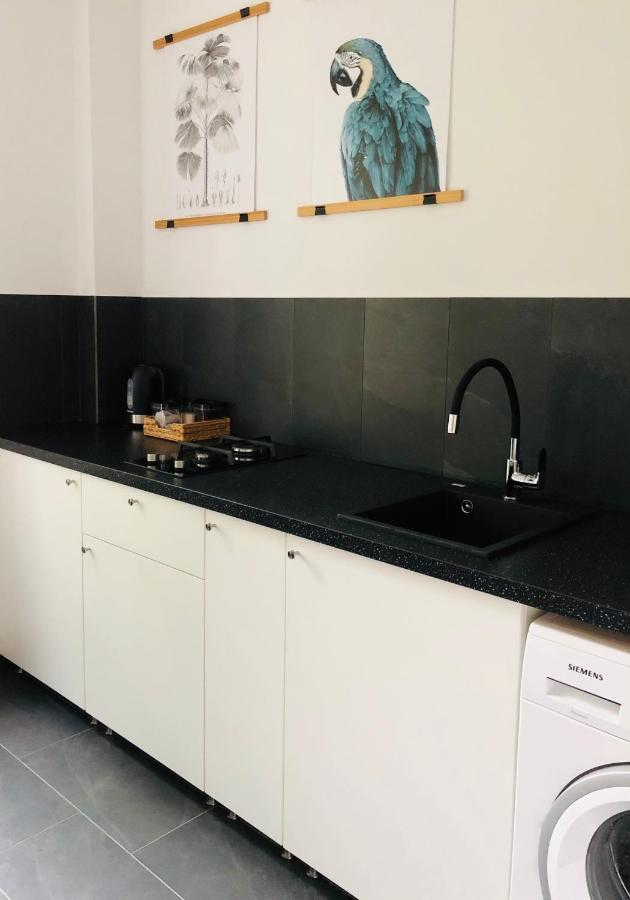 Pobuudka II Plebanska Z Widokiem Na Rynek Apartman Gliwice Kültér fotó